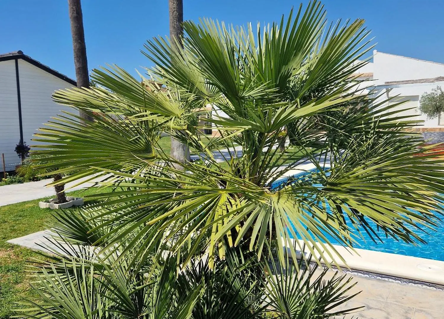 Holiday home La Casita Villa Chiclana de la Frontera
